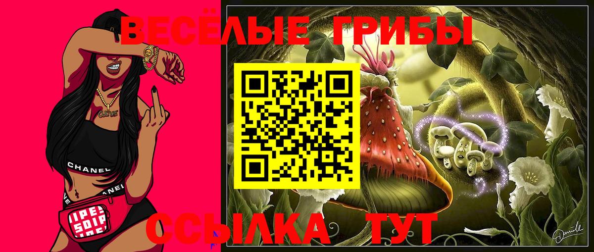 Псилоцибиновые грибы Cubensis  Вход с VPN  Звенигород 