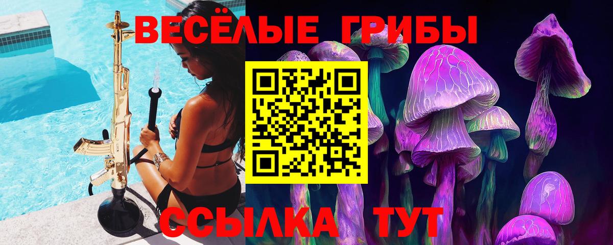 Псилоцибиновые грибы прущие грибы Звенигород